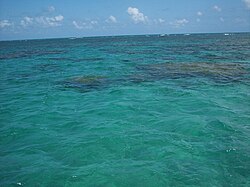 Maracajaú beach