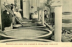 Machinery for the 'cooking' of aloe (1903)