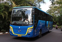 Trans Sarbagita bus