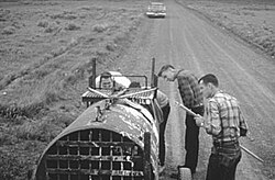 The Craigheads trap a grizzly bear in Yellowstone, 1961