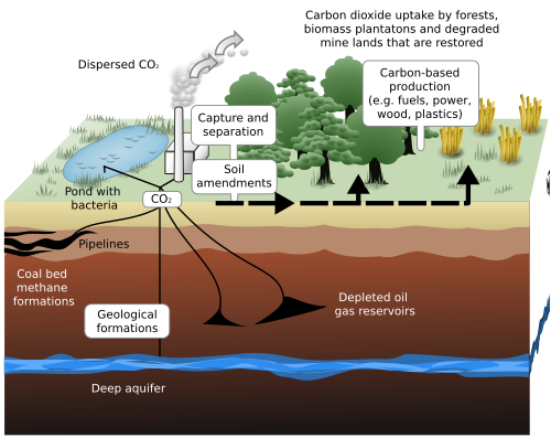 Schematic showing both terrestrial and geological sequestration of carbon dioxide emissions from a large point source, for example burning natural gas
