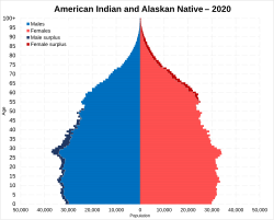 The American Indian and Alaskan Native (alone/single race) populations as of 2020.