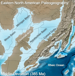 Paleogeographic reconstruction showing the Appalachian Basin area during the Middle Devonian period[34]