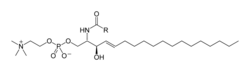 Sphingomyelin