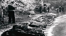 Soviet repressions in Kuressaare, Estonia (1941)