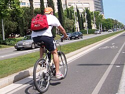Cycle lane in Barcelona