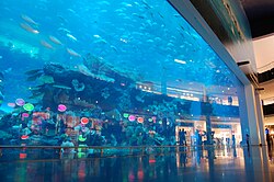 The Dubai Mall Aquarium