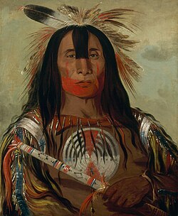 Buffalo Bull's Back Fat, Head Chief, of the Blood Tribe by George Catlin.