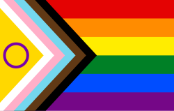 A third version of the rainbow flag, made to include intersex people