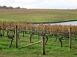 The Margaret River region is known for its wine production.
