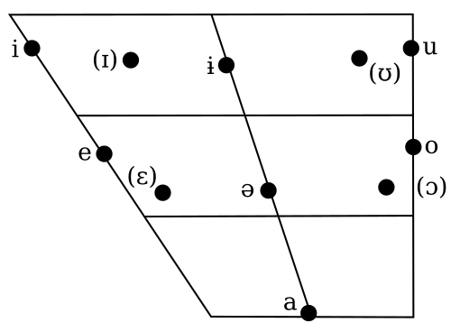 The vowels of Amharic on a vowel chart.[56] Vowels in parentheses are allophones of /ɨ/ and /ə/.
