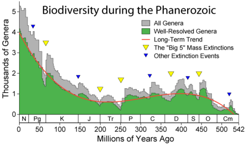 Apparent marine fossil diversity during the Phanerozoic[104]