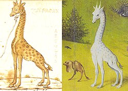 The giraffe on the right side of the left panel may be drawn from copies of those in Cyriac of Ancona's Egyptian Voyage (left), which was published c. 1440.[22]