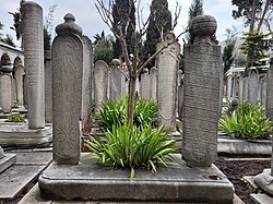 Cemetery behind the Süleymaniye Mosque in Istanbul. Ottoman cemeteries were also gardens and were often established next to mosques.