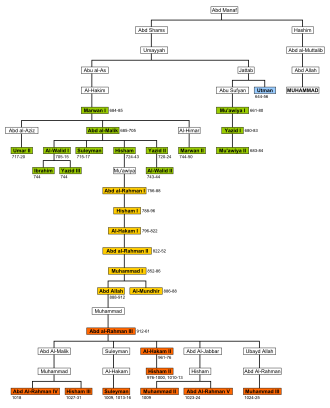Genealogical tree of the Umayyad family. In blue: Caliph Uthman, one of the four Rashidun caliphs. In green, the Umayyad caliphs of Damascus. In yellow, the Umayyad emirs of Córdoba. In orange, the Umayyad caliphs of Córdoba. Abd Al-Rahman III was an emir until 929 when he proclaimed himself caliph. Muhammad is included (in caps) to show the kinship of the Umayyads with him. See interactive version of chart
