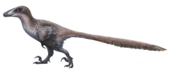 Restoration of a walking individual