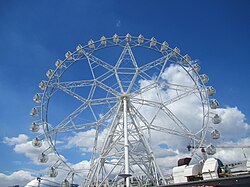 The MOA Eye