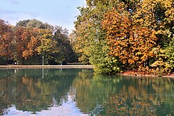 Horse-chestnut leaf miner (Cameraria ohridella) tree damage in Parma, Italy