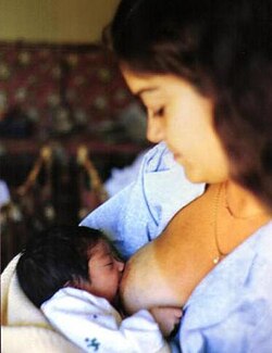 A human mother feeding her child