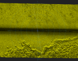 seagrass in Sequim Bay, WA, visible via side-scan sonar in SonarView application, surveying with BlueBoat
