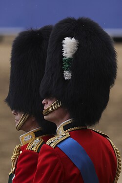 The Duke of Edinburgh (left) and Prince of Wales wear two royal cyphers on each shoulder, having been Personal Aides-de-Camp to two monarchs (Charles III and Elizabeth II).