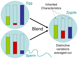 Blending inheritance, implied by pangenesis, causes the averaging out of every characteristic, which as the engineer Fleeming Jenkin pointed out, would make evolution by natural selection impossible.