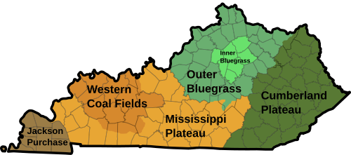Kentucky's regions (click on image for color-coding information; contrary to the map, regions do not follow county lines and the Western Coal Field is not as extensive as indicated. The outer part of it is the Clifty Area, which contains no coal but has bituminous sandstone.)