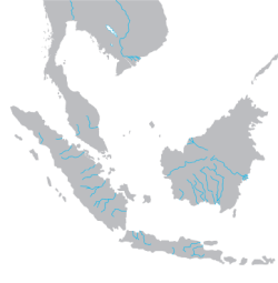 Map of the expansion of the Srivijaya empire, beginning in Palembang in the 7th century, then extending to most of Sumatra, then expanding to Bangka Belitung, Riau Islands, Malay Peninsula, Singapore, Java, Thailand, Cambodia, South Vietnam, Sarawak, Brunei, Sabah, West Kalimantan, and ended as the Melayu Kingdom in Jambi in the 13th century.
