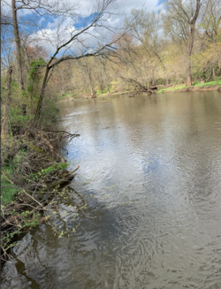 The Millstone River flowing in Rocky Hill.