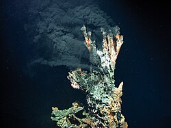 The black smoker "Candelabra" in the Logatchev hydrothermal field on the Mid-Atlantic Ridge at a water depth of 3,300 m (10,800 ft)