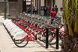Bicycles available for rental in Zona Rosa