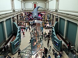 Ocean Hall