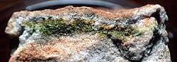An Antarctic rock split apart to show endolithic lifeforms showing as a green layer a few millimeters thick