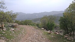 Iranian oak scrub in the Zagros Mountains