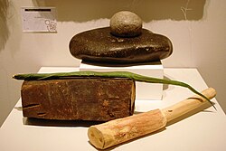 Tools used to obtain agave's ixtle fibers, at the Museo de Arte Popular, Mexico City, D.F.