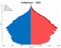 Population pyramid of Indigenous Argentines in 2022.