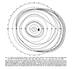 The classical image on the shape and size of the visual field by Harry Moss Traquair in his book Clinical Perimetry (1938; modified to show the essentials). It shows that the visual field is considerably larger on the temporal side than the often quoted 90° extent. Similar limits were already reported in the 19th century.