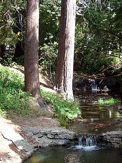 The south fork of Strawberry Creek, as seen between Dwinelle Hall and Lower Sproul Plaza