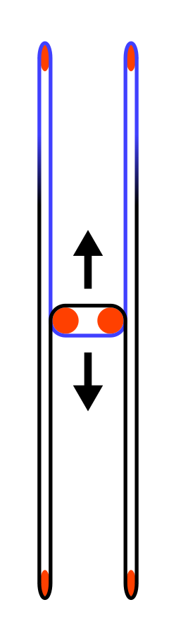 Diagram of the looped haul cable of the funifor system. The support cables are not shown