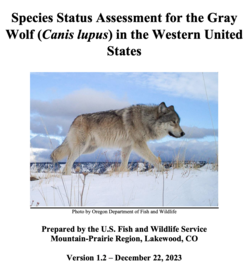 "Species Status Assessment" for the Gray wolf in 2023.[299]