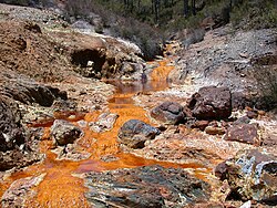 The ARMAN are a group of archaea discovered in acid mine drainage in the early 2000s.