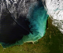 Sediment off the Yucatán Peninsula