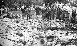 Exhumed mass grave of the Vinnytsia massacre, 1943