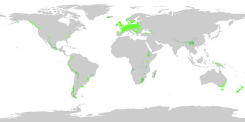 Regions where oceanic or subtropical highland climates (Cfb, Cfc, Cwb, Cwc) are found as of 1991-2020, using the −3 °C (27 °F) threshold for the coldest month. Cfb Cfc Cwb Cwc