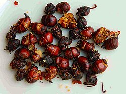 Roasted ants in Colombia