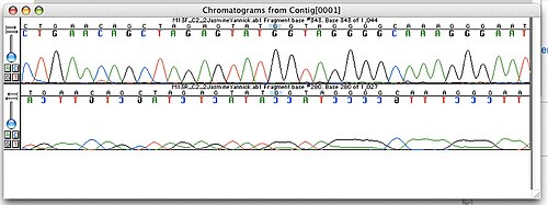 Electropherograms are commonly used to sequence portions of genomes.[1]