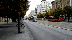Zaragoza tram in Paseo de la Independencia