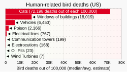 In the U.S. cats kill on the order of 10,000 times as many birds as wind turbines.[130]
