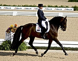 A dressage rider