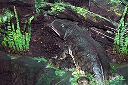 Life reconstruction of Permian wetland environment, showing an Eryops